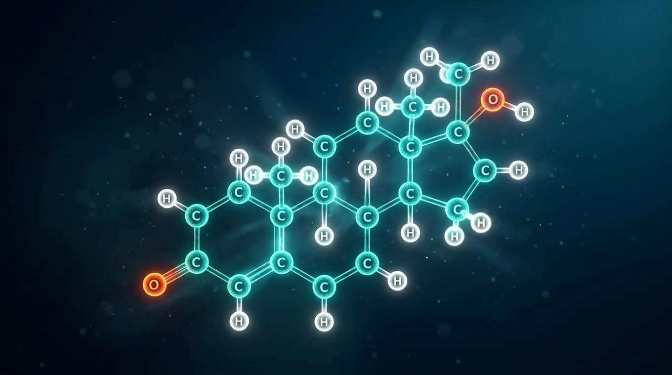 3D testosterone molecule render